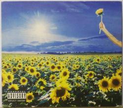 Profile: YellowLedbetter