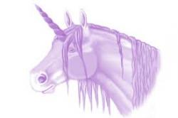 User Profile: HelpfulUnicorn