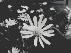 User Profile: amorevolefe
