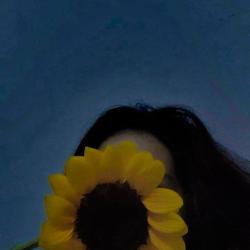User Profile: seaofstrangers