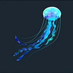 User Profile: LittleJellyfish