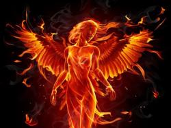 User Profile: FighterPhoenix2