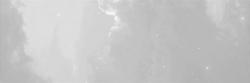 User Profile: SilverDreamer11