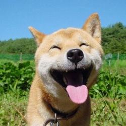 User Profile: Comeheresweety