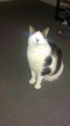User Profile: Luna2009