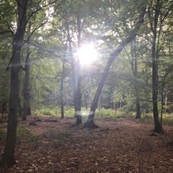 User Profile: caringPumpkin64