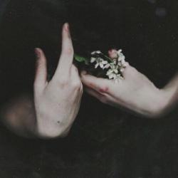 Profile: capriaesthetics