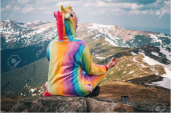 User Profile: PeacefulUnicorn3