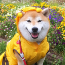 User Profile: Kaceface