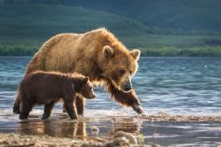 User Profile: DaithiW