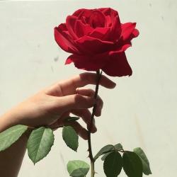 User Profile: LostWisdom