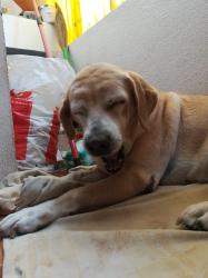 User Profile: chioo