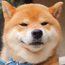User Profile: Waltzzzz