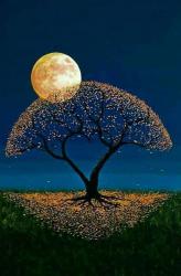 User Profile: perfectmoon