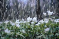 User Profile: Amazinglyfreshrainfall