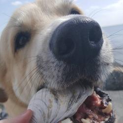 User Profile: SunnyGab