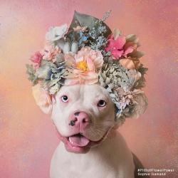 User Profile: Hugsandgiggles