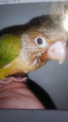 Profile: richyShiny39