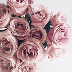 User Profile: beautifulOcean64