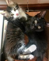 User Profile: CatWoman97