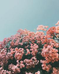 User Profile: yoursmoresonfire88