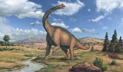 User Profile: FriendlyDinosaur1214