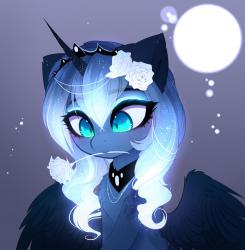 User Profile: AshIsAStrangeLittleBean