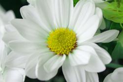 User Profile: begood5
