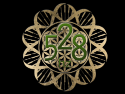 User Profile: Frequency528