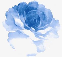 User Profile: BluePetal