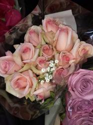 User Profile: rosebudlove