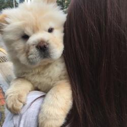 User Profile: anastasiawithabear