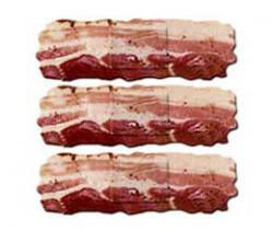 User Profile: Baconbandaid