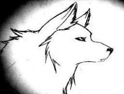 User Profile: starlightwolf