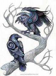 User Profile: MidnightRaven999