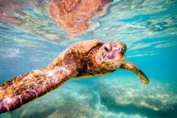 User Profile: OceanBreeze