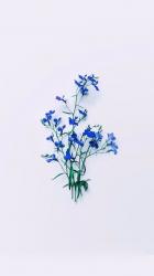 User Profile: immensespark26