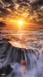 User Profile: fantasticSunrise28