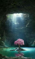 User Profile: BeHereAlways