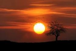 User Profile: SunkissedAngel