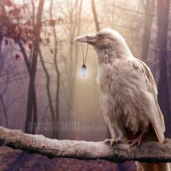 User Profile: AnaRavenLullaby