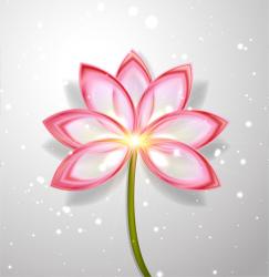 User Profile: LotusFlower2018