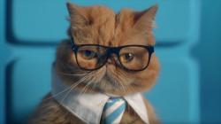 User Profile: MrJacob