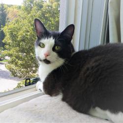 Profile: AngelWuffs
