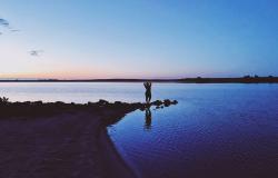 User Profile: MidnightSunlight23