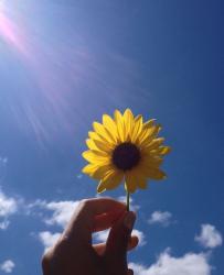 User Profile: MiracleFaithLove