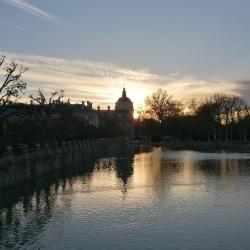 Profile: ann12720