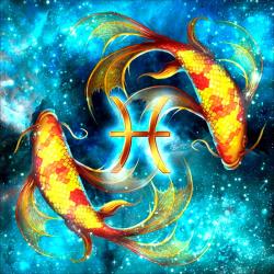 User Profile: zenkind