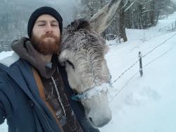 Profile: SamTheBeardGuy