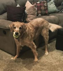 User Profile: MaddyFox